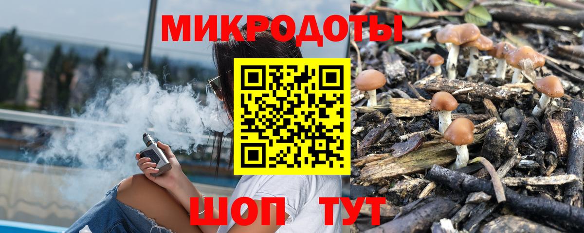 продажа наркотиков  Галлюциногенные грибы ЛСД  Вход с VPN  Выборг 